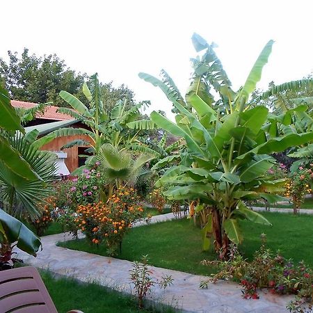 Estelar Bungalow Çıralı 外观 照片