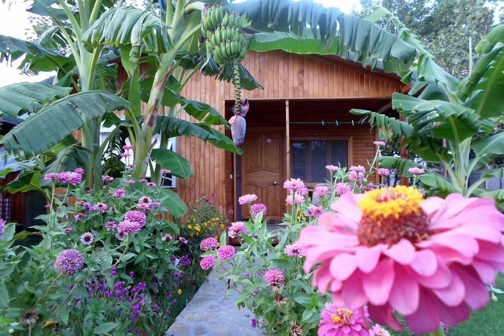 Estelar Bungalow Çıralı 外观 照片