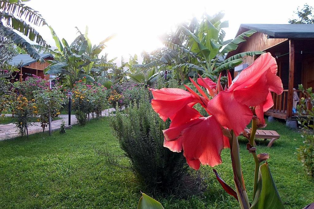 Estelar Bungalow Çıralı 外观 照片