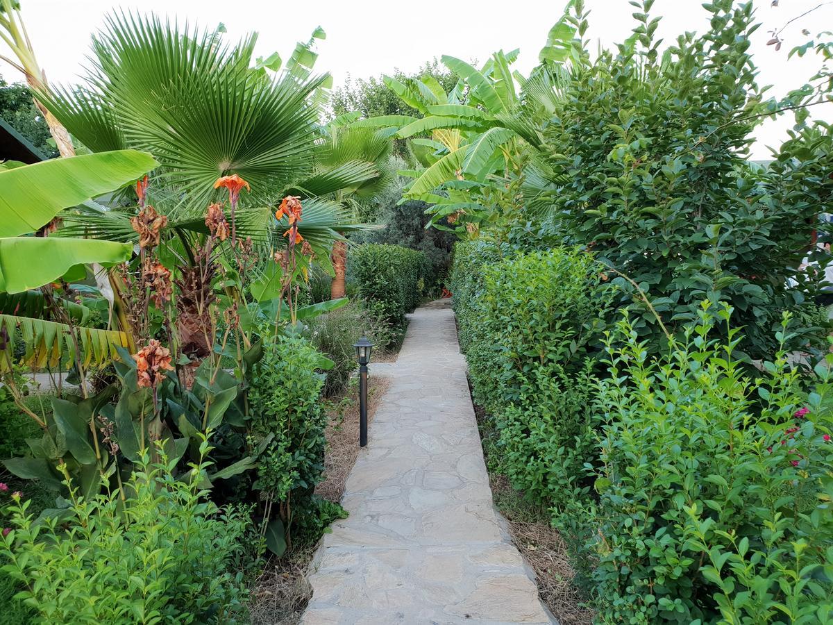 Estelar Bungalow Çıralı 外观 照片